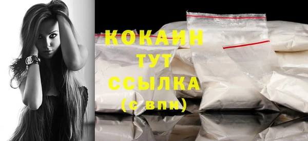 гидра Верея